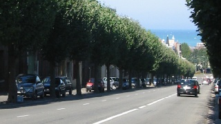 Road leading to sea